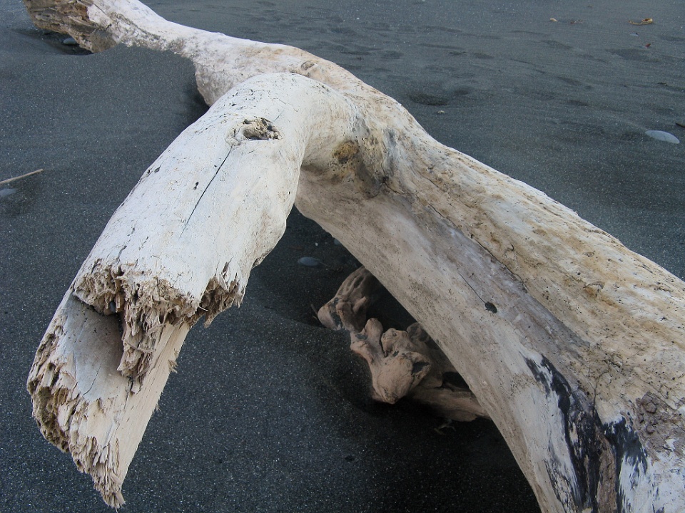 Detail of the Driftwood